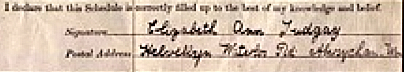 Elizabeth Ann Tudgay 1911 census