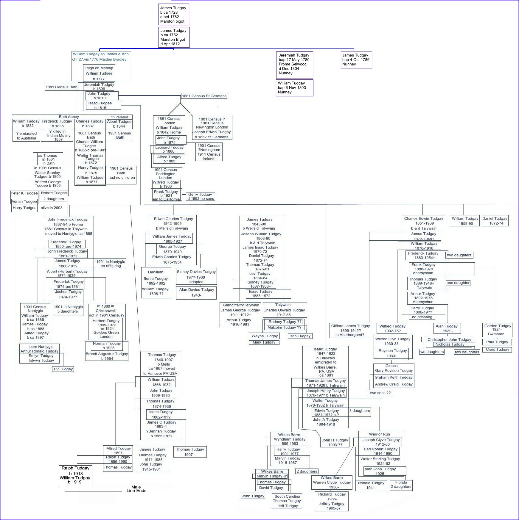 {William Tudgee .. Tudgay lineage diagram}
