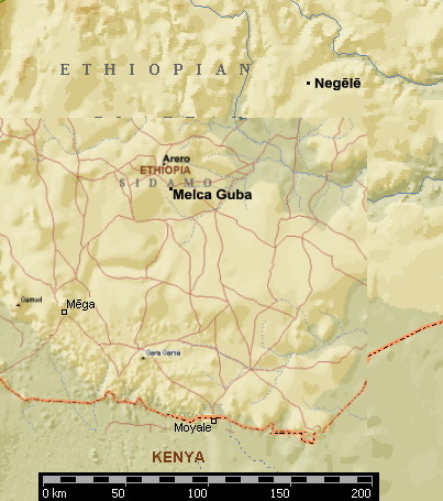 {Borana area of Ethiopia}