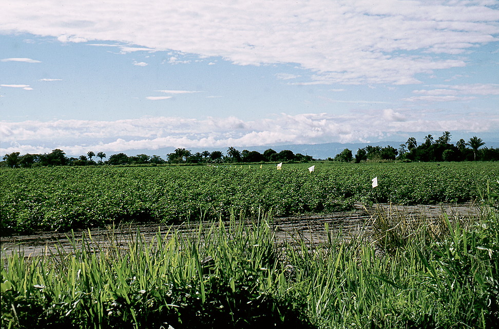 {La Herradura trials site}