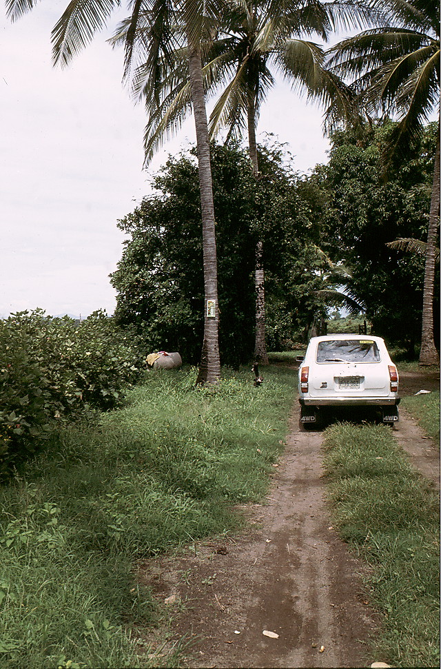 {Max-min thermometer on coconut}
