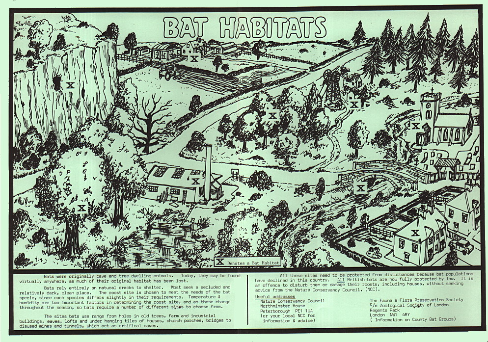 {environment poster}