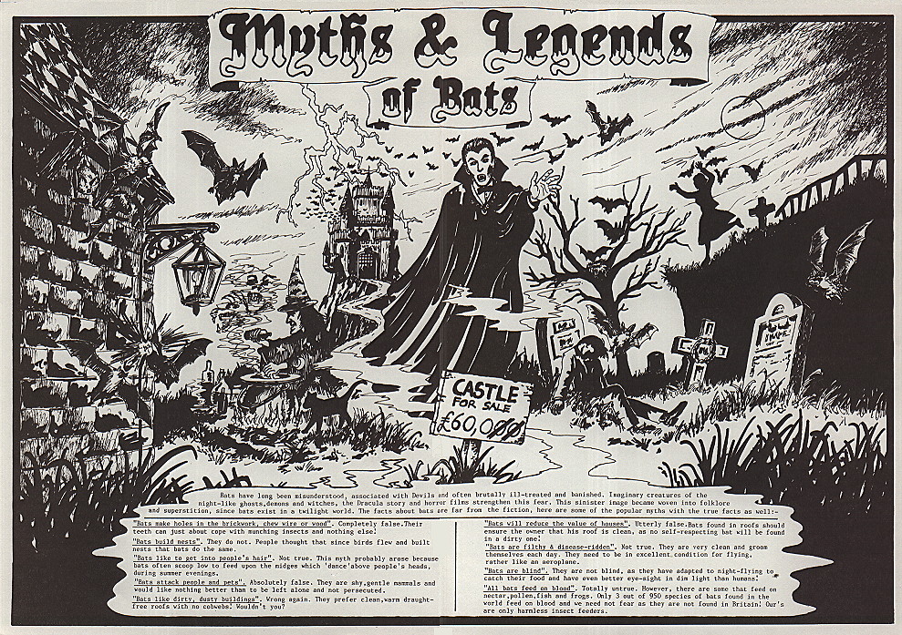 {environment poster}