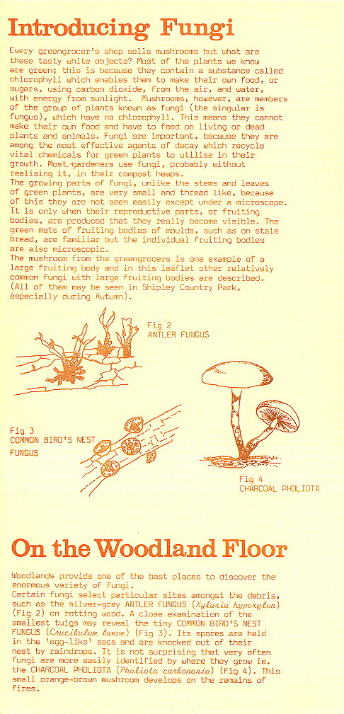 {environment leaflet page 2}