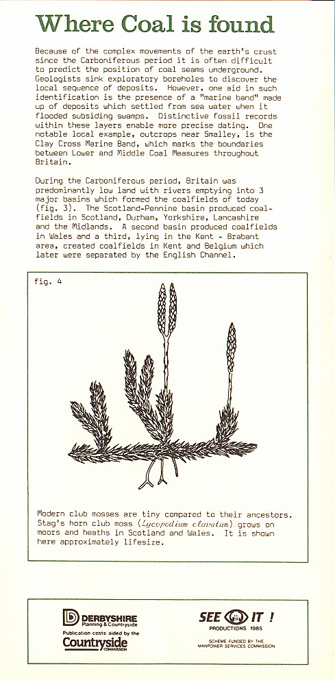 {environment leaflet page 5}