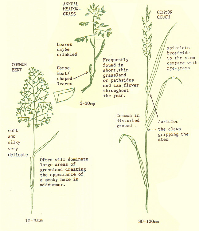 {environment leaflet page 4}