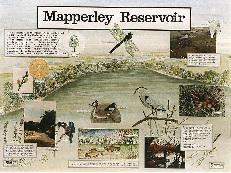 {mapperley reservoir vista panel}