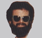 {short description of image}