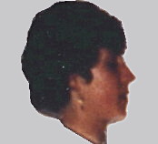 {short description of image}